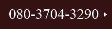 080-3704-3290