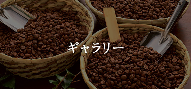ギャラリー